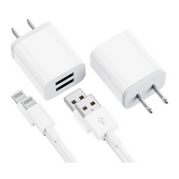 Apple Chargers