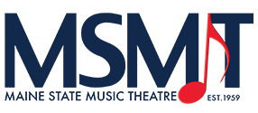 MSMT's logo