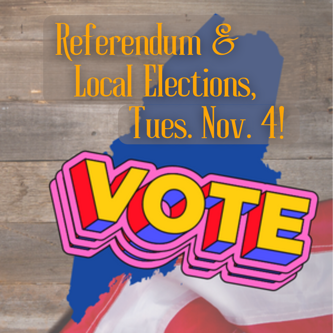 Vote (Socials) (1) Referendum & Local Elections Tues. Nov. 4!